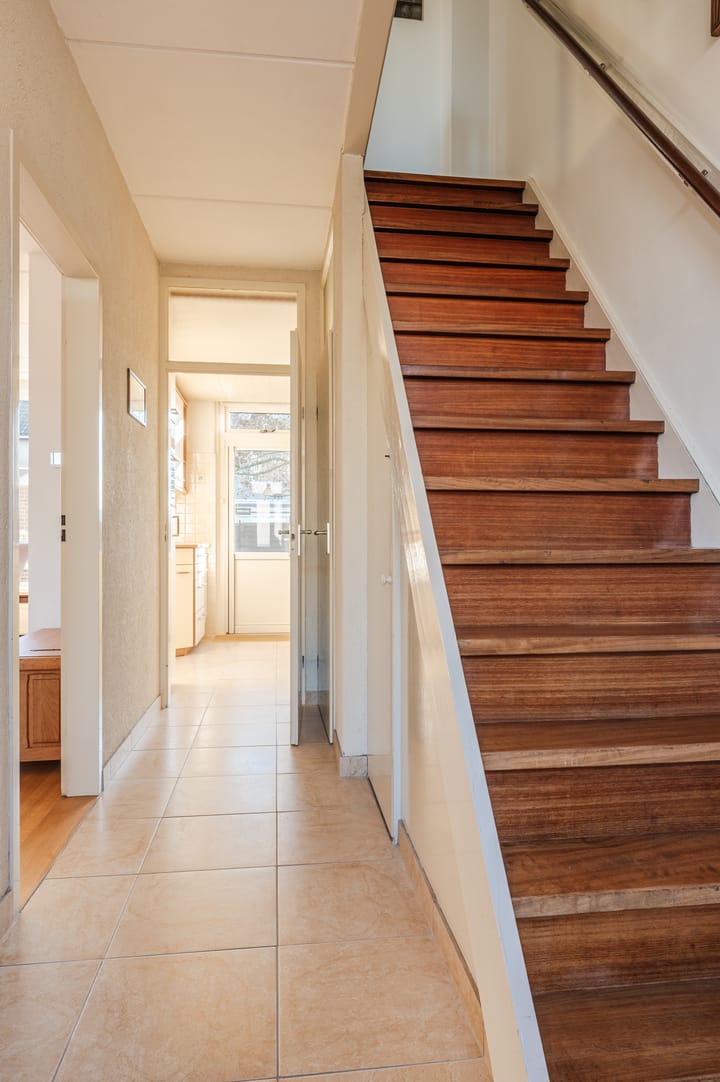 Foto 8 van Lijster 16