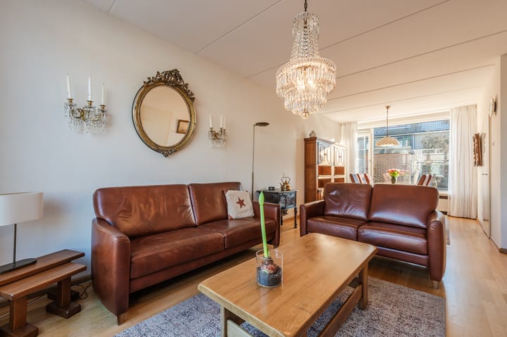 Foto 12 van Lijster 16