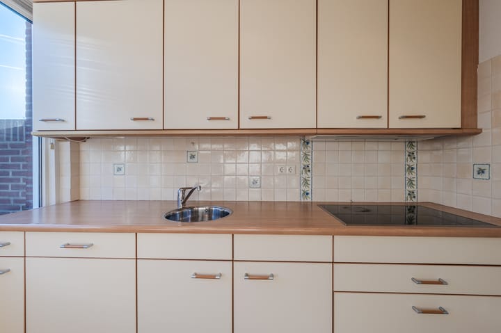 Foto 17 van Lijster 16