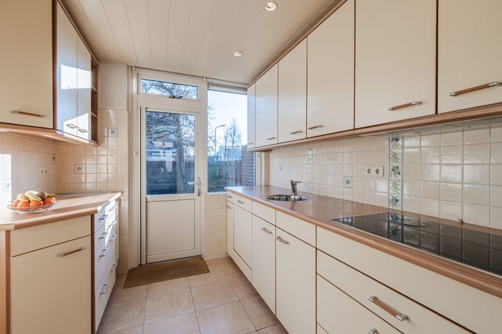 Foto 19 van Lijster 16