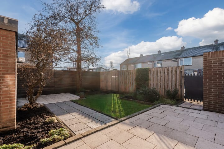 Foto 20 van Lijster 16