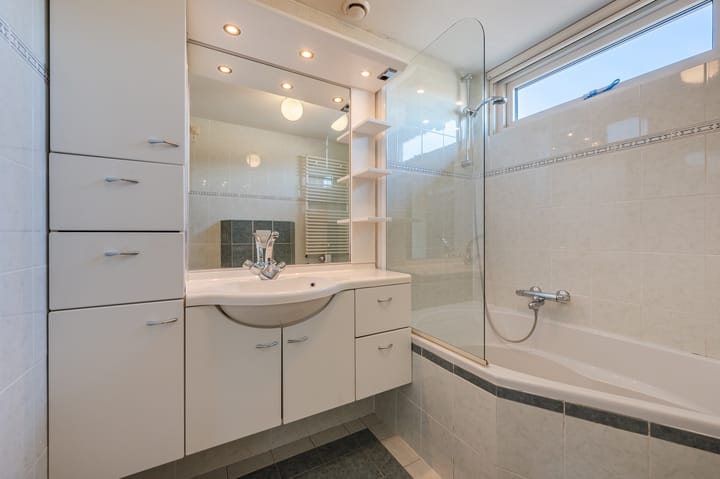 Foto 31 van Lijster 16