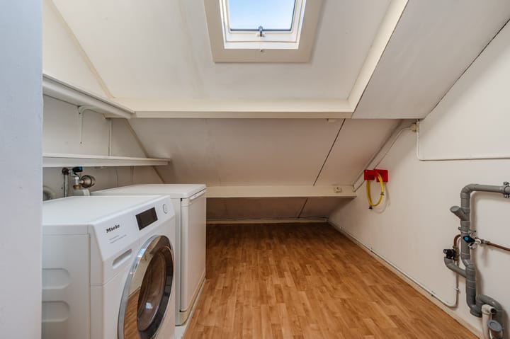 Foto 33 van Lijster 16