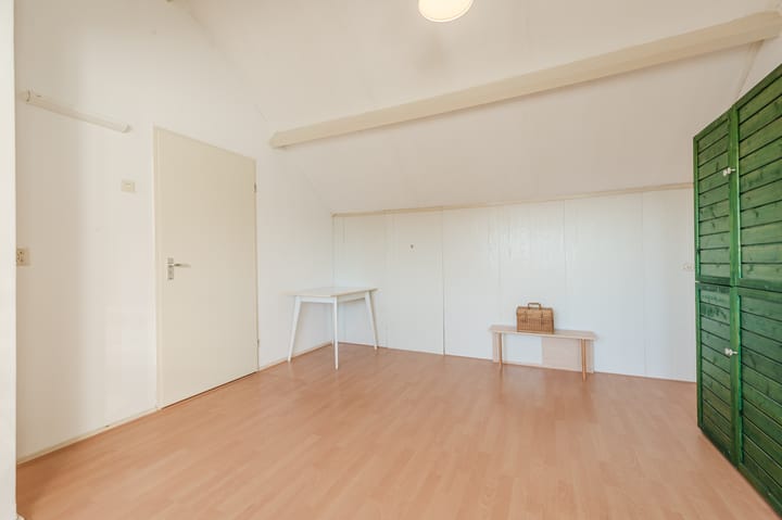 Foto 36 van Lijster 16