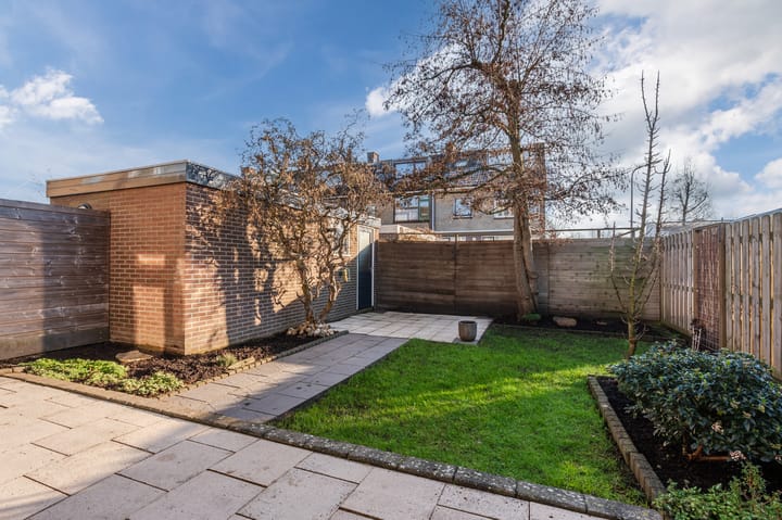 Foto 38 van Lijster 16