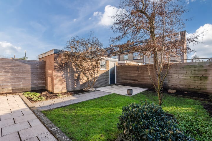 Foto 39 van Lijster 16