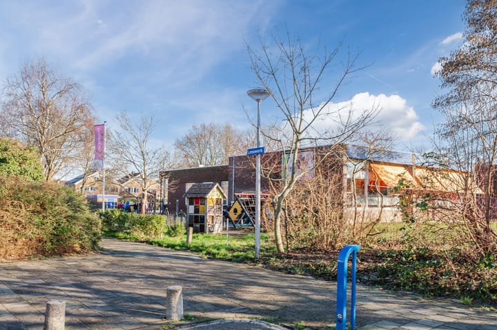 Foto 41 van Lijster 16