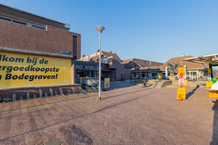 Foto 43 van Lijster 16