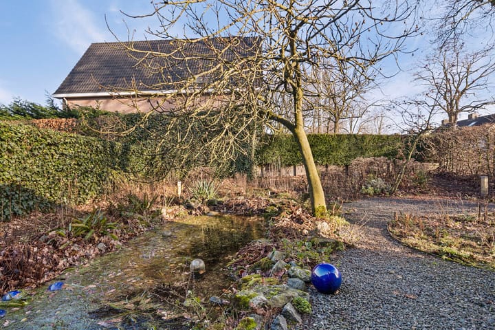 Foto 29 van Venusstraat 1