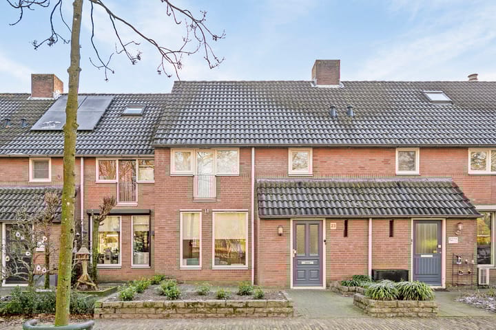 Foto 3 van Stokekker 23