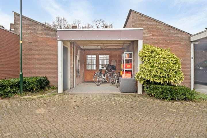 Foto 2 van Stokekker 23