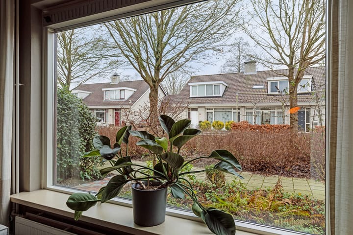 Foto 15 van Ganzestraat 12