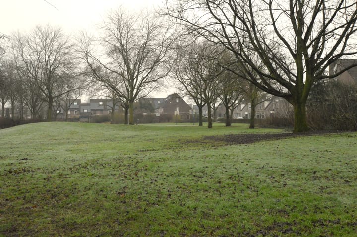 Foto 33 van Veenmossingel 123