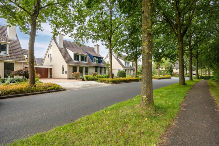 Foto 5 van Zilverschoon 43