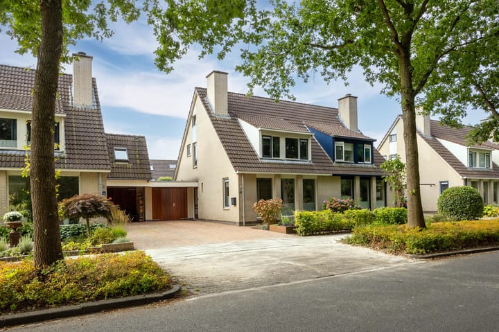 Foto 6 van Zilverschoon 43