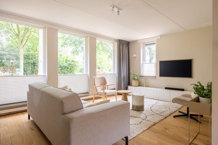 Foto 9 van Zilverschoon 43