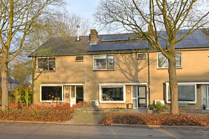 undefined main image