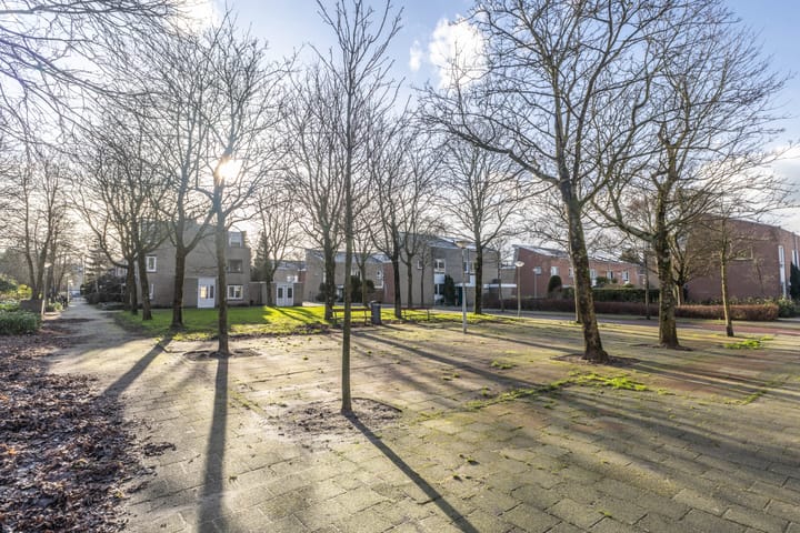 Foto 15 van Louis Davidsstraat 6