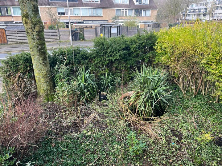 Foto 19 van Stortemelk 24