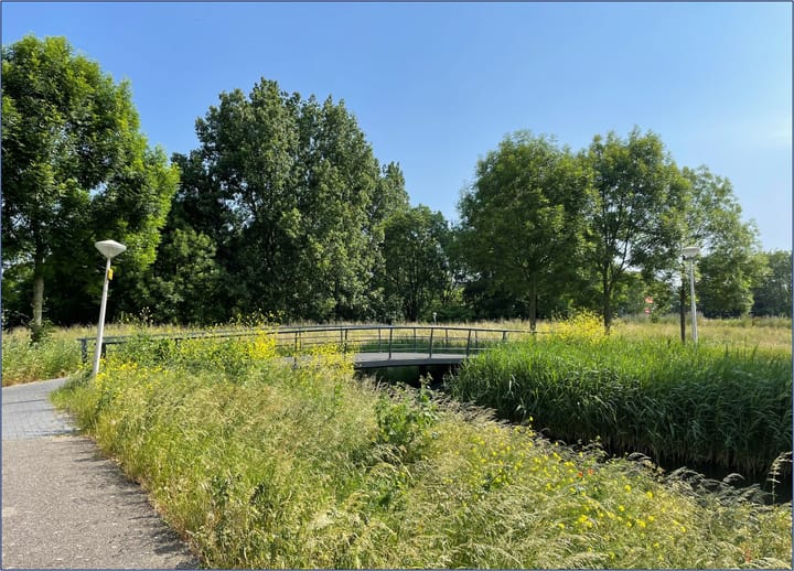 Foto 23 van Stortemelk 24