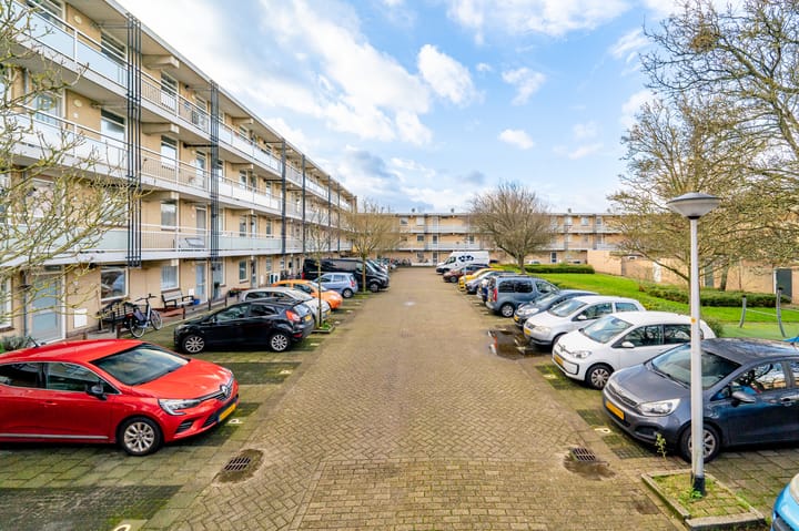 Foto 44 van Springtij 16