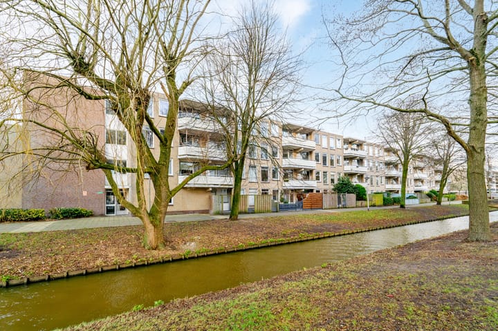 Foto 47 van Springtij 16