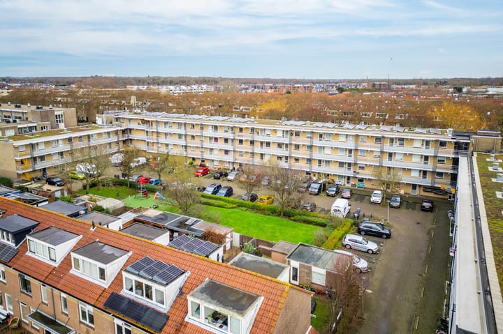 Foto 50 van Springtij 16