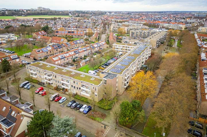 Foto 53 van Springtij 16