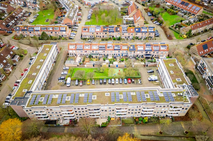 Foto 55 van Springtij 16