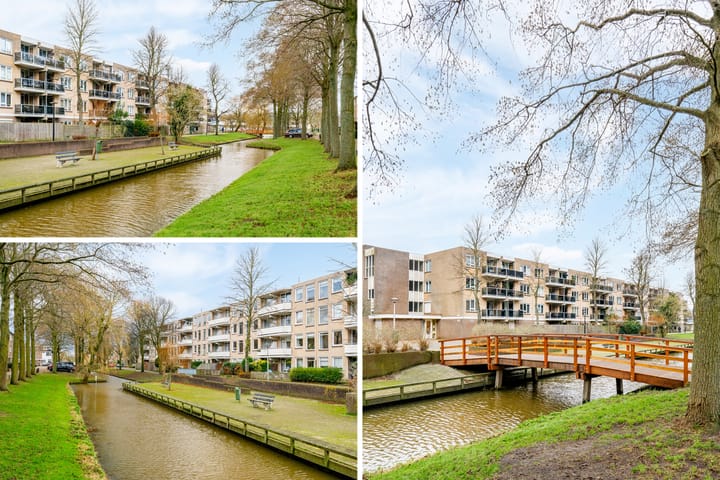 Foto 56 van Springtij 16