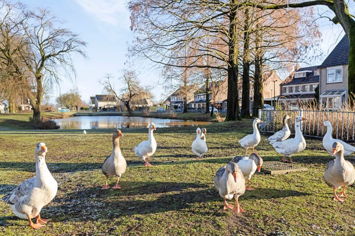 Foto 29 van Houtsniphof 4