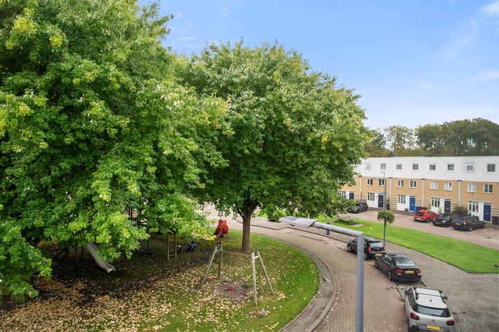 Foto 25 van Dirk Swarteveldplein 16