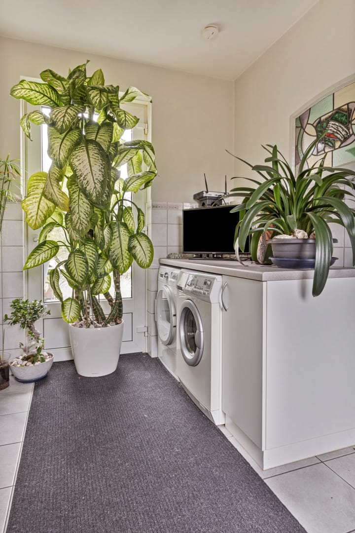 Foto 35 van Californischeweg 10