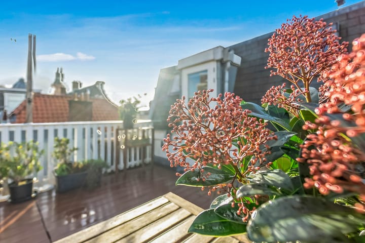 Foto 42 van Prinsestraat 71-A