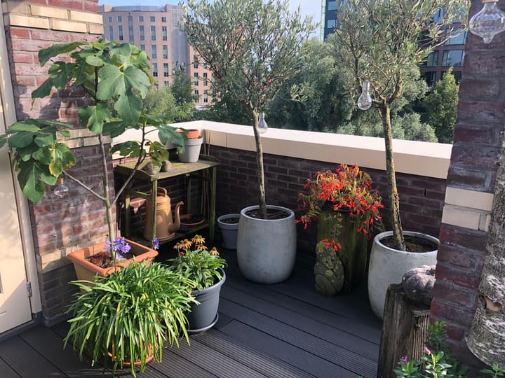 Foto 41 van Elfhuizen 34