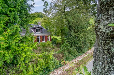 undefined main image