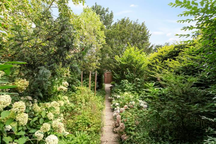 Foto 29 van St. Annastraat 42