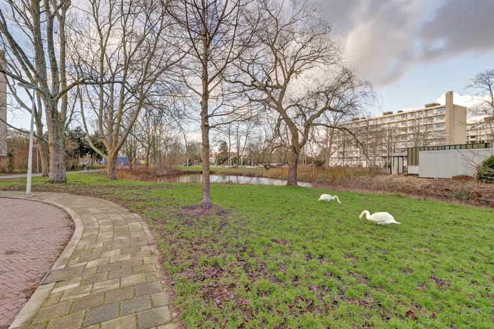 Foto 21 van Smaragdhorst 347