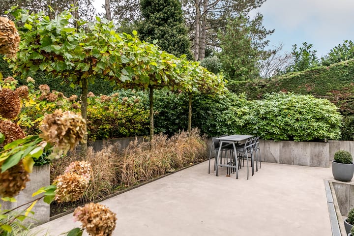 Foto 41 van Zandvoortselaan 210