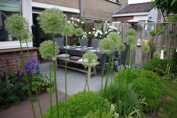 Foto 19 van Waterpeper 26