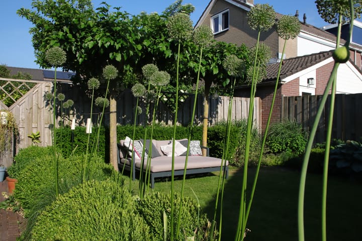 Foto 20 van Waterpeper 26