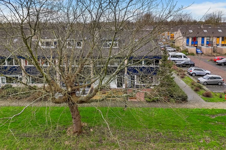 Foto 31 van Plevierstraat 56