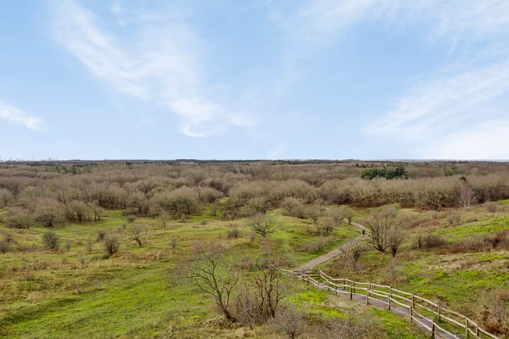 Foto 35 van Dr. Leenaersstraat 23