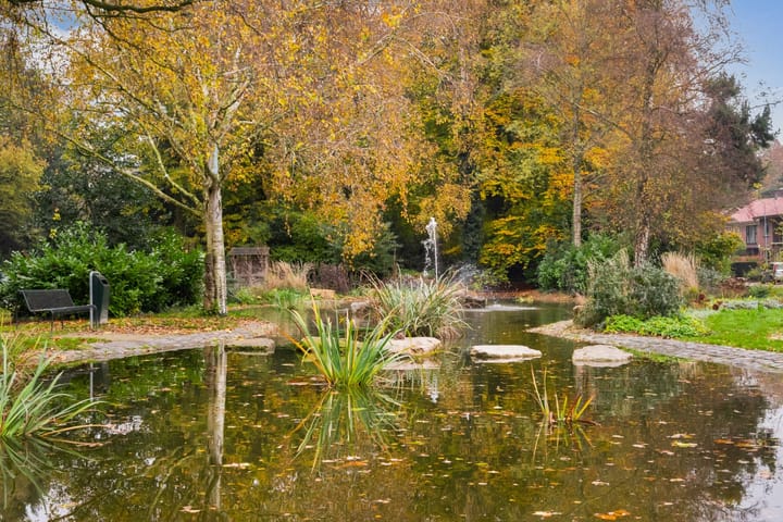 Foto 48 van Veldkamp 34