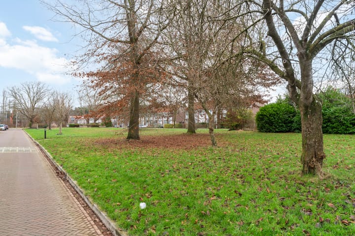 Foto 41 van Lumièrestraat 3