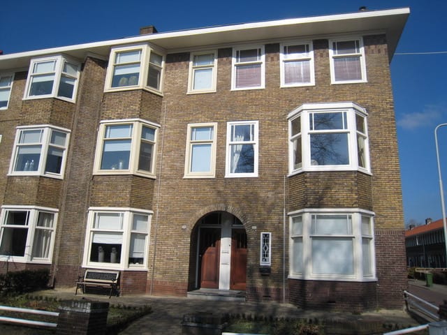 Foto 1 van Johan de Wittlaan 199-2