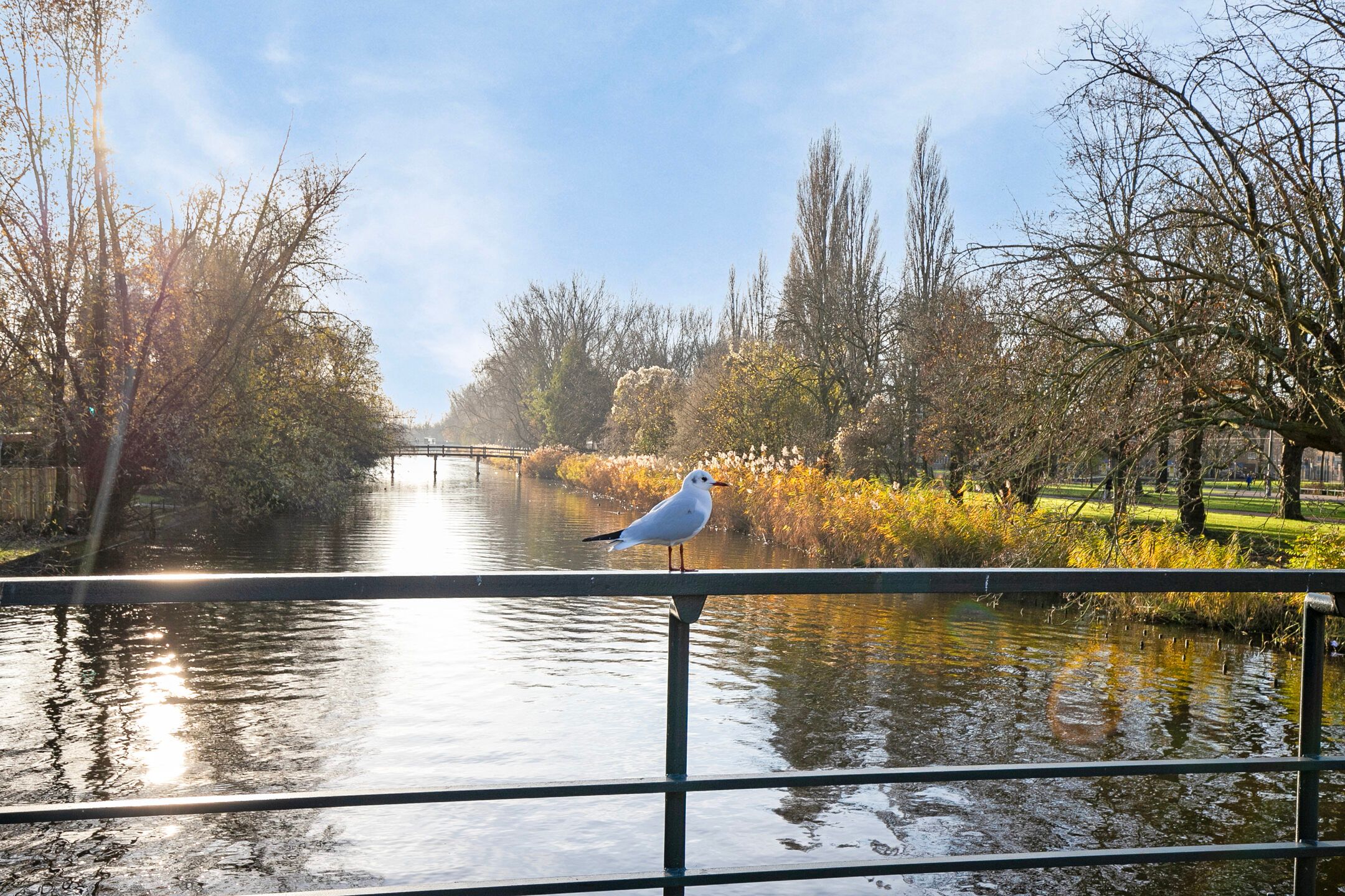 Foto 30 van Clauskindereweg 77