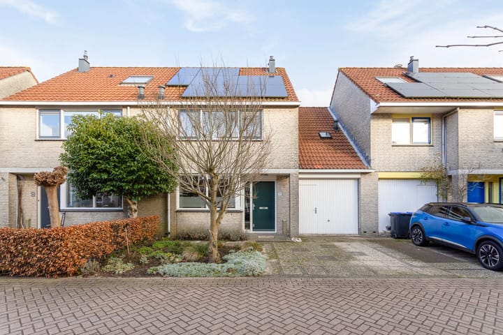 Foto 1 van Zwenkgras 11