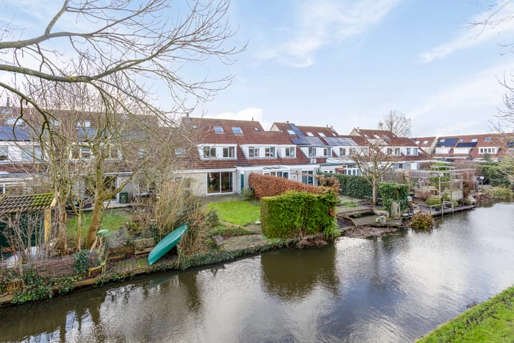 Foto 2 van Zwenkgras 11