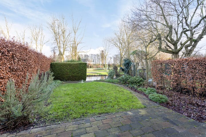 Foto 10 van Zwenkgras 11